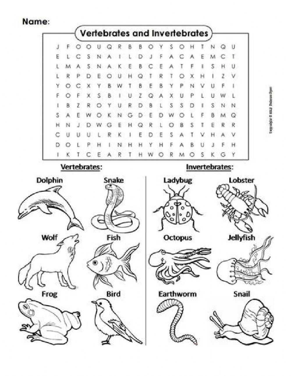 vertebrates and invertebrates worksheets pdf