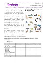 vertebrates and invertebrates worksheets pdf